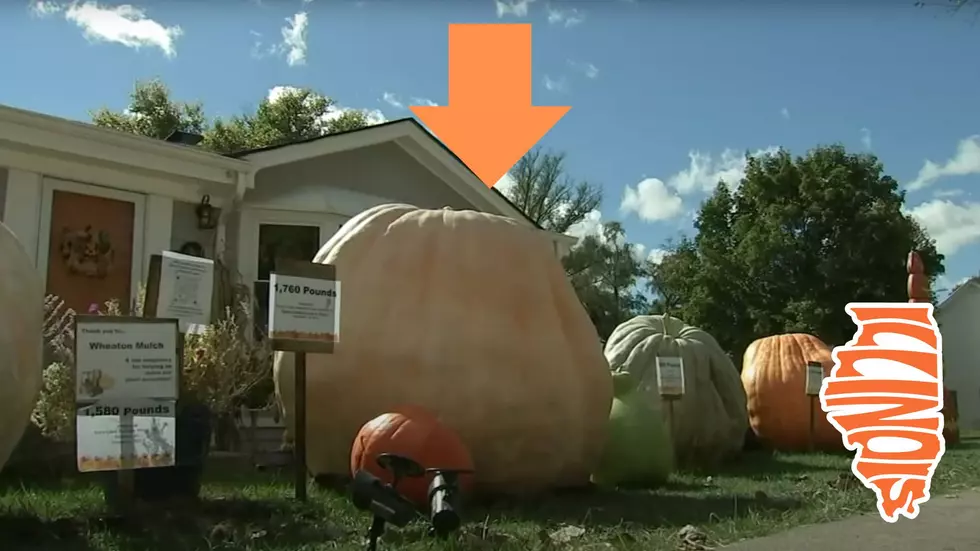 Good Gourd – Illinois Man Sets Record with 1,760 Pound Pumpkin
