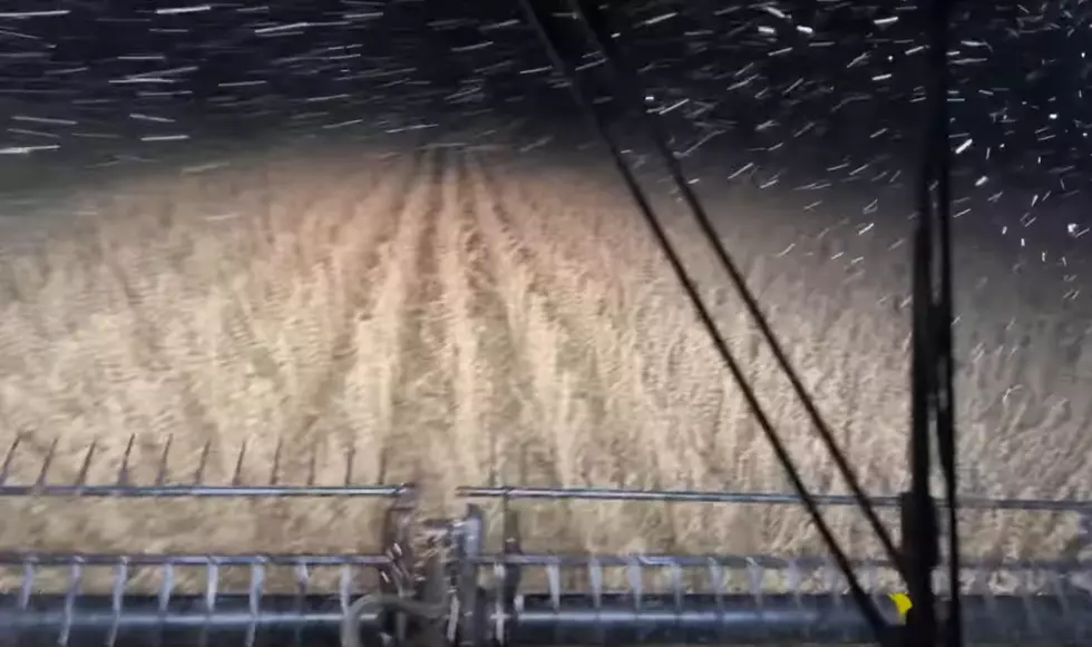 Watch a Farmer in Illinois Harvest Soybeans During a Snowstorm