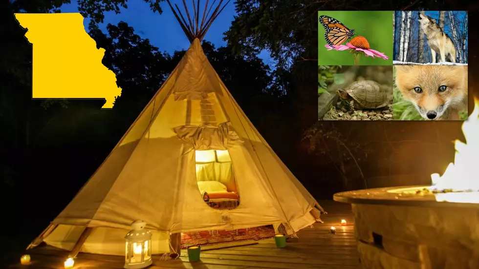 See an Epic Missouri Tipi Where Your Only Neighbors are Wildlife