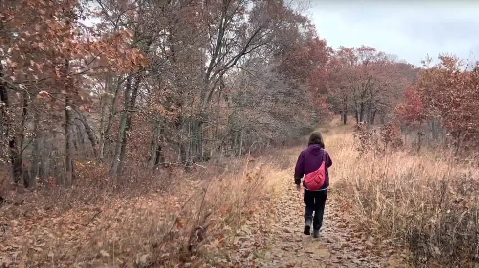 See Why This is One of the Highest-Rated Hikes in Missouri