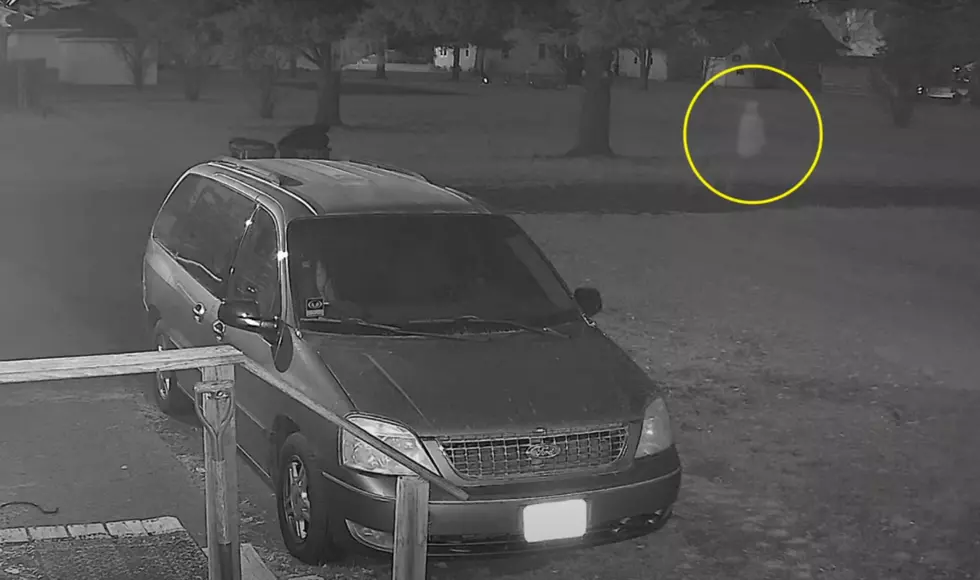 Dog Barks then a Ghost Appears on Midwest Family Security Camera