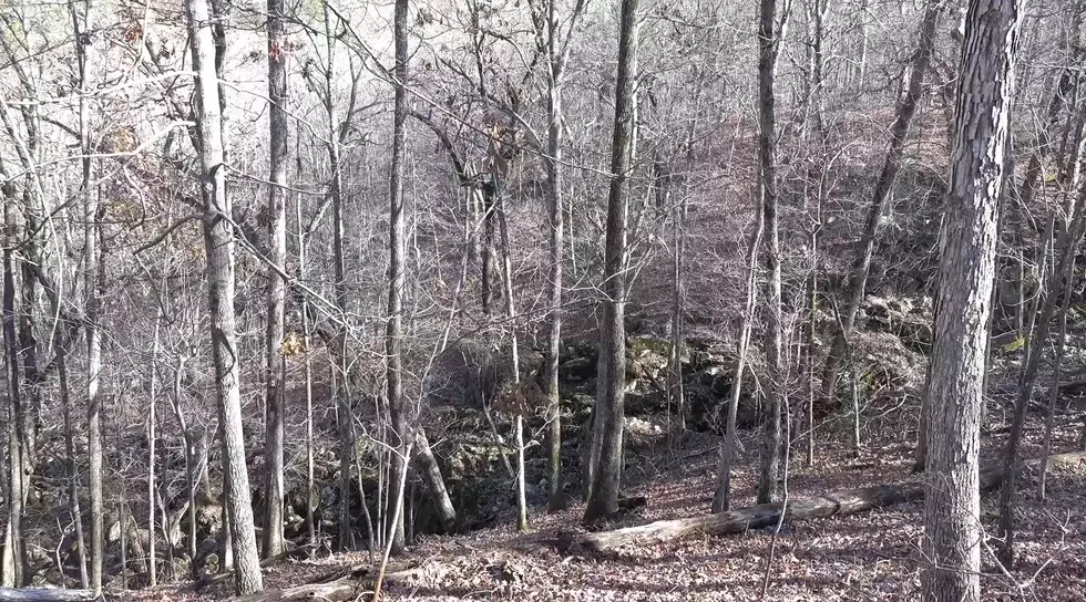 Missouri Man Says He Heard Bloodcurdling Screams from these Woods