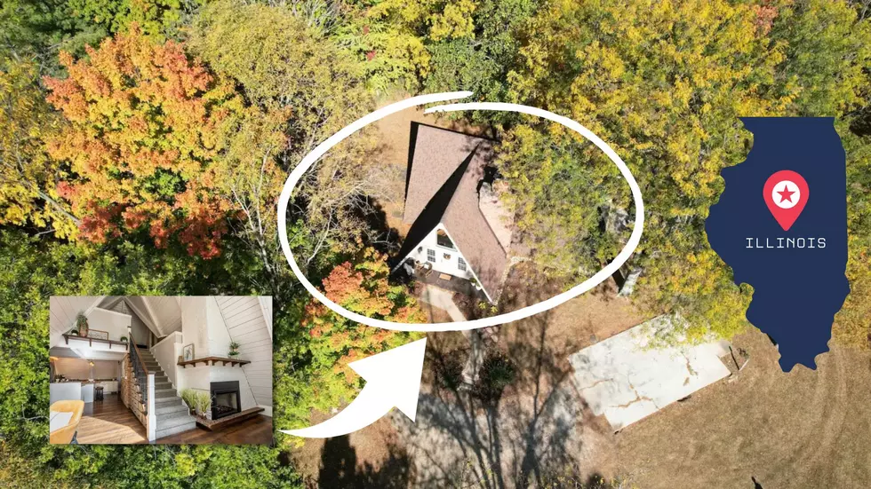 See Inside a Cabin Hidden in the Woods in the Middle of Illinois