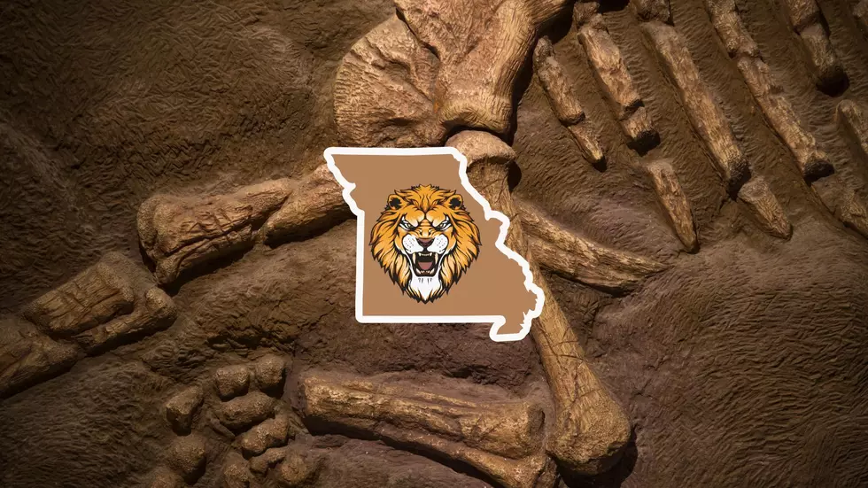 Falling Mississippi River Waters Reveal Rare Ancient Lion Remains