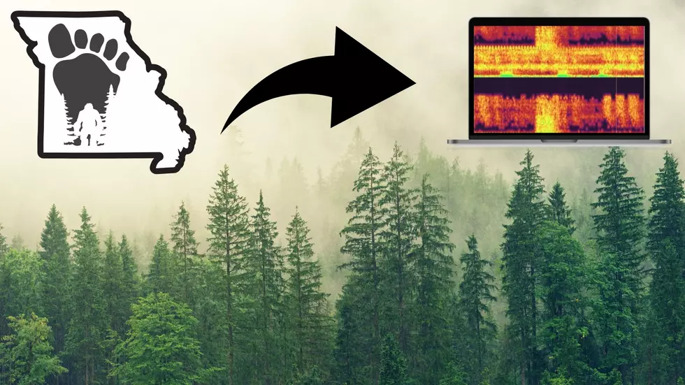 Strange 'Bigfoot Sounds' Were Recorded Deep in the Missouri Woods