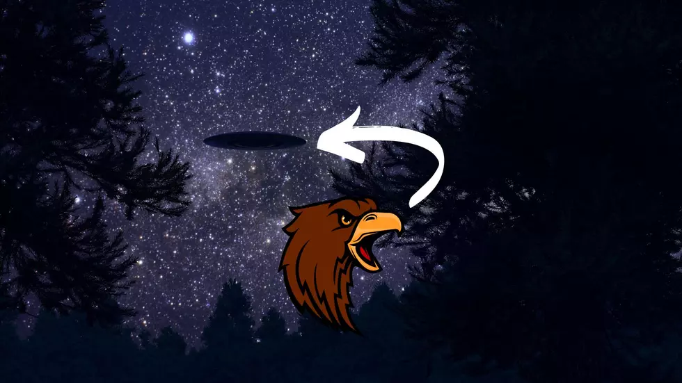 Wild Missouri UFO Report Shows Weird Object Made Hawk in the Sky