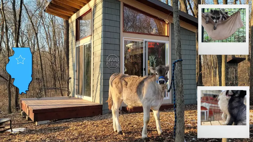 See a Tiny Illinois Place Located Inside an Animal Rescue Ranch