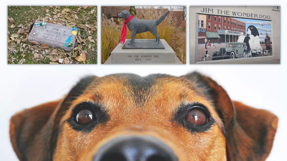 The Most Loved Dog in History Has His Own Missouri Garden & Mural