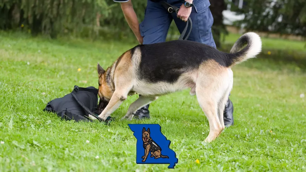Missouri K-9 Cop Just Removed Deadly Fentanyl From the Streets