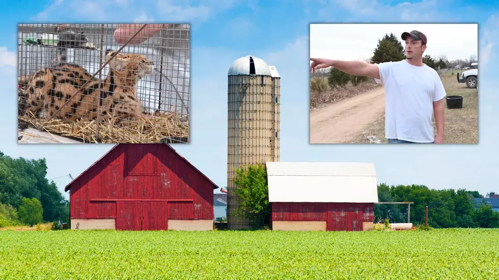 Missouri Farmer Finds ‘Crazy Looking Cat’ Native to Africa?