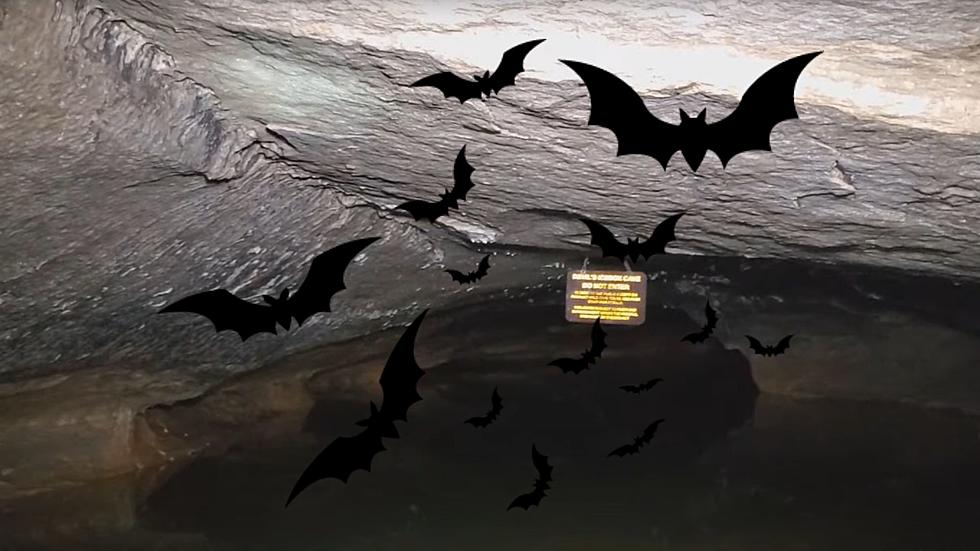 The Devil’s Icebox – The Missouri Cave Closed to Save the Bats