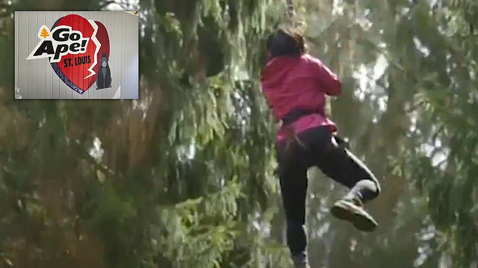 This St. Louis Place Lets You Swing Thru the Trees Like Tarzan