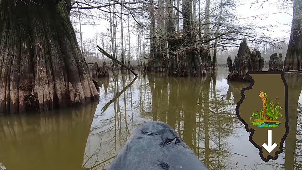 Yes, There&#8217;s a Real Forgotten Ancient Swamp in Southern Illinois