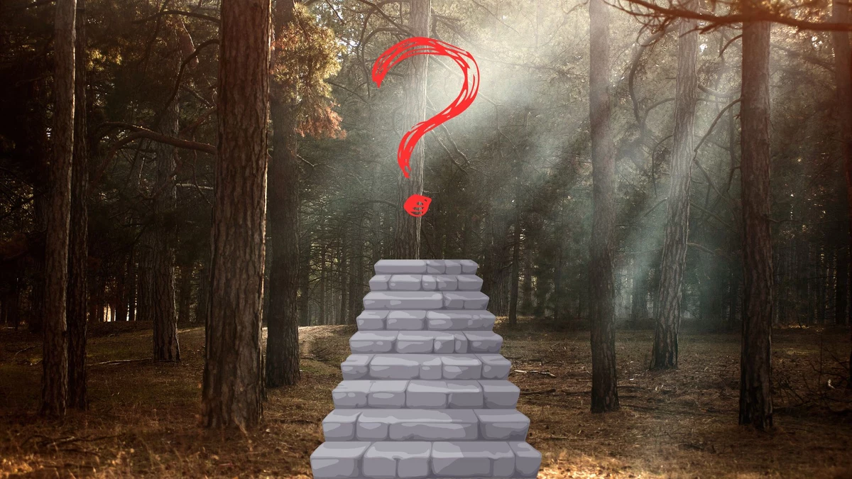 Stairs That Lead To Nowhere In The Woods Missouri Hikers Mystified by Stairs in Woods that Lead to Nowhere