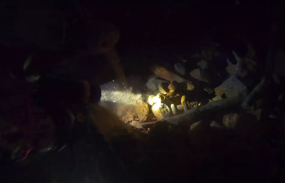 Stanley Scuba, Sailing & Adventures via YouTube