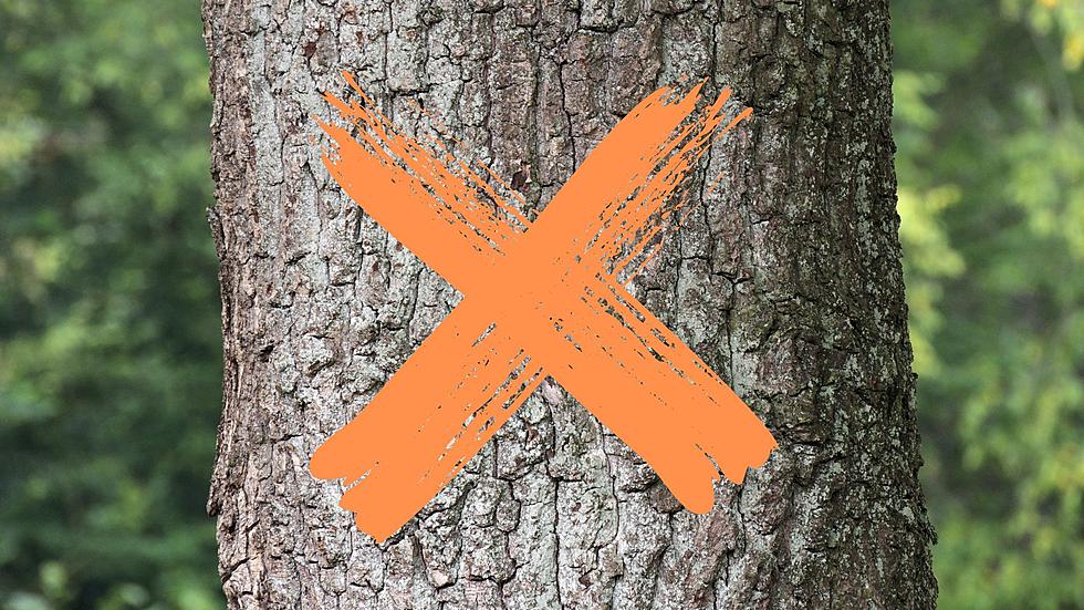 If You See an Orange X on Trees in Missouri, You Need to Stay Out
