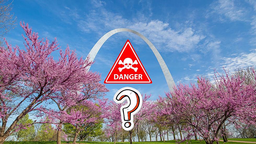 Is St. Louis Really Super Dangerous? Some Claims Wildly Unfair