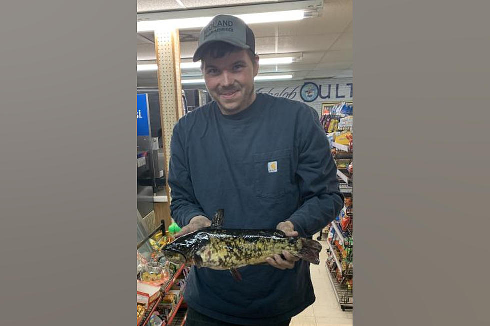This Missouri Man May Have Just Shot Himself a World Record Fish