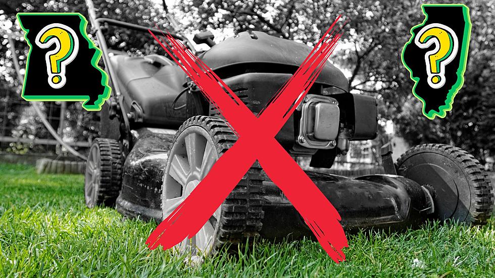 See Why We&#8217;re Told to NOT Mow Missouri &#038; Illinois Lawns in May