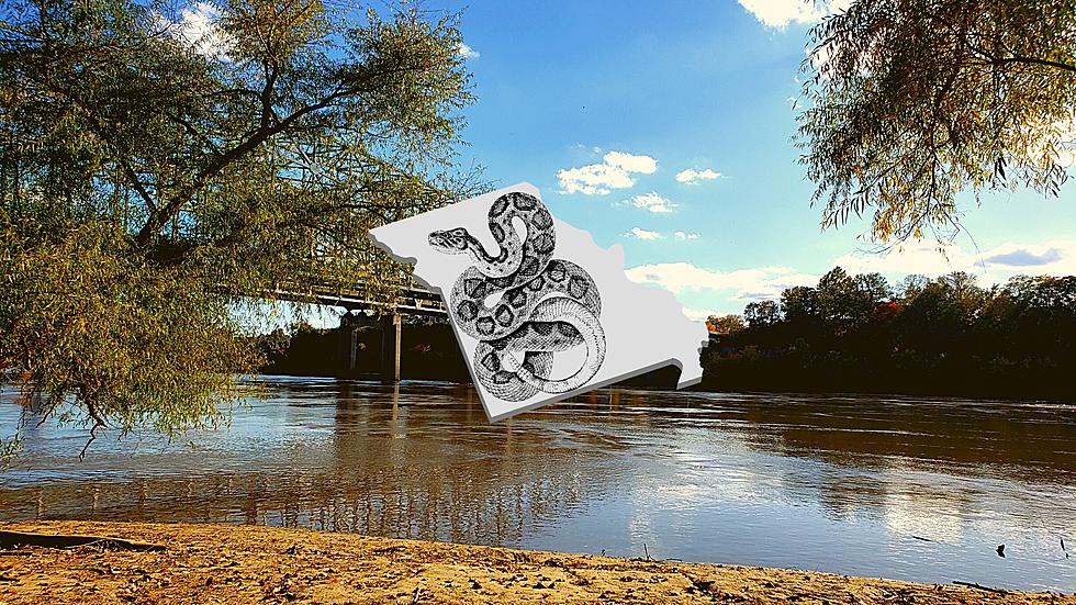 Congrats, Missouri &#8211; You Have 1 of the Most Snake-Infested Rivers
