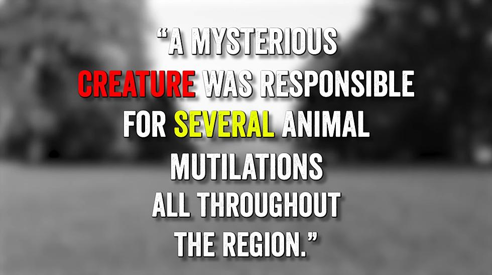 How a 3-Legged Creature in Illinois Caused Mass Hysteria