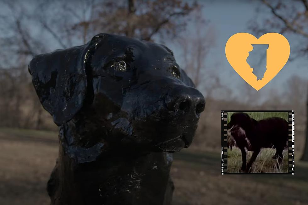 King Buck, the World&#8217;s Most Famous Dog, Lived on an Illinois Farm