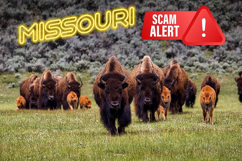 SCAM ALERT &#8211; Missouri is Not Sending Buffaloes to Roam Your Land