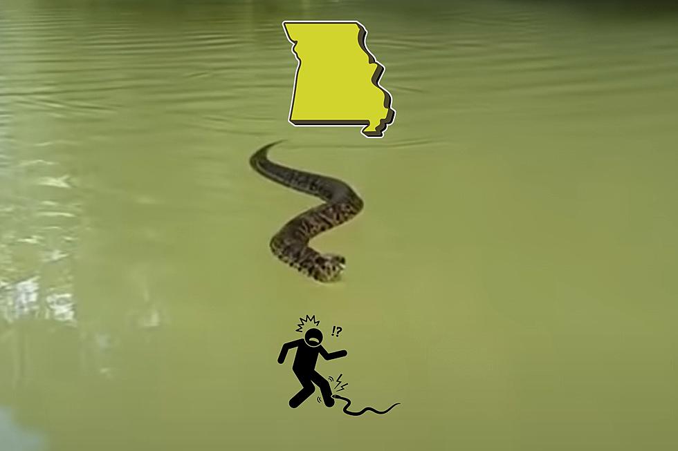 7 Ways to NOT Get Bitten by a Cottonmouth Snake in Missouri