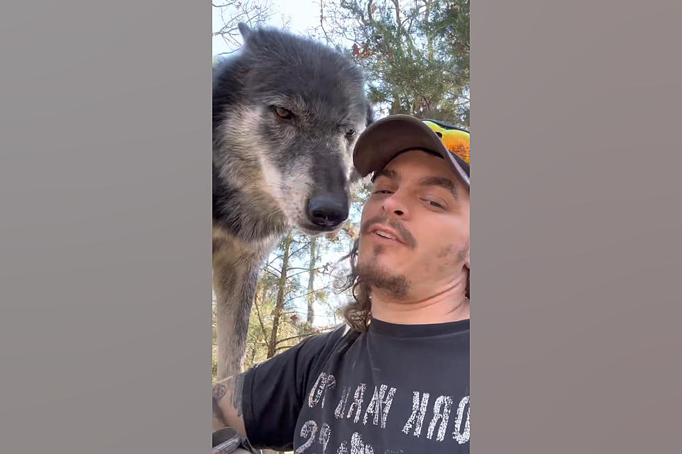 See How This Missouri Man Became Best Friends with Real Wolves