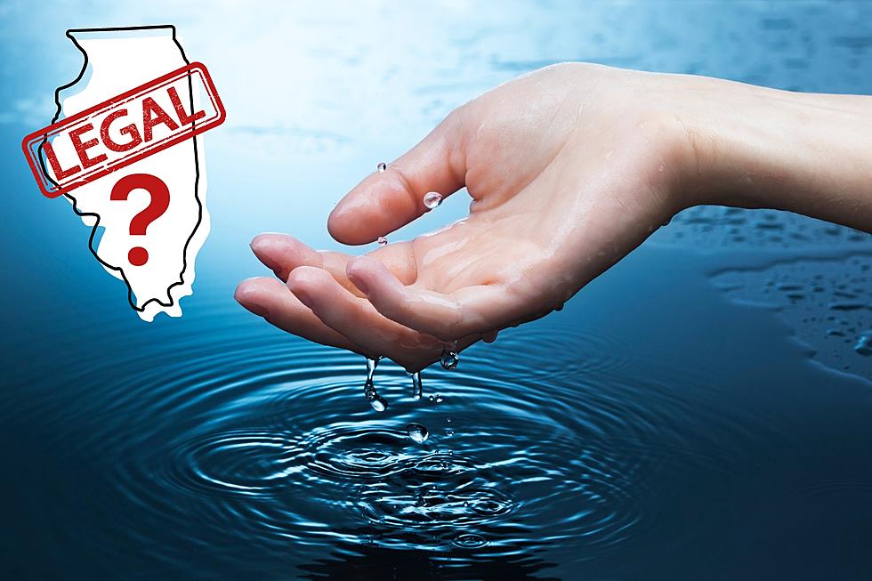 Collecting Rainwater in Illinois Not Legal? – It’s Complicated