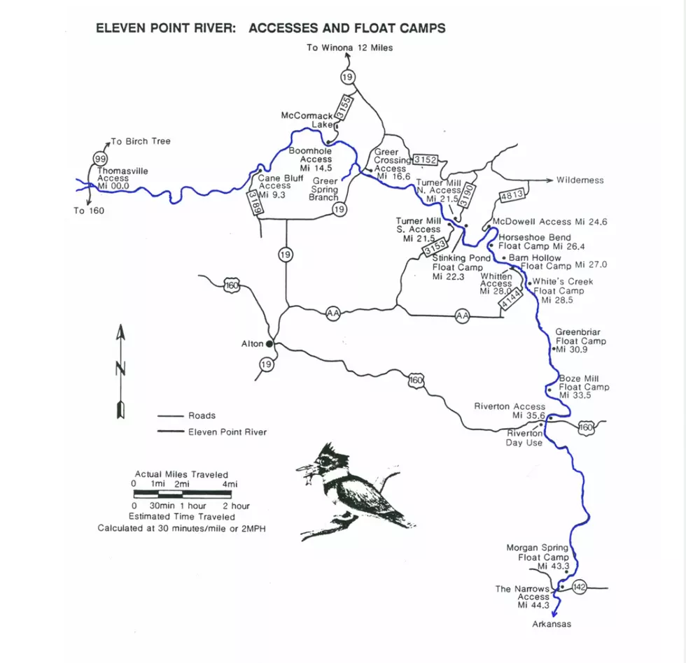 Infographic, US Forest Service
