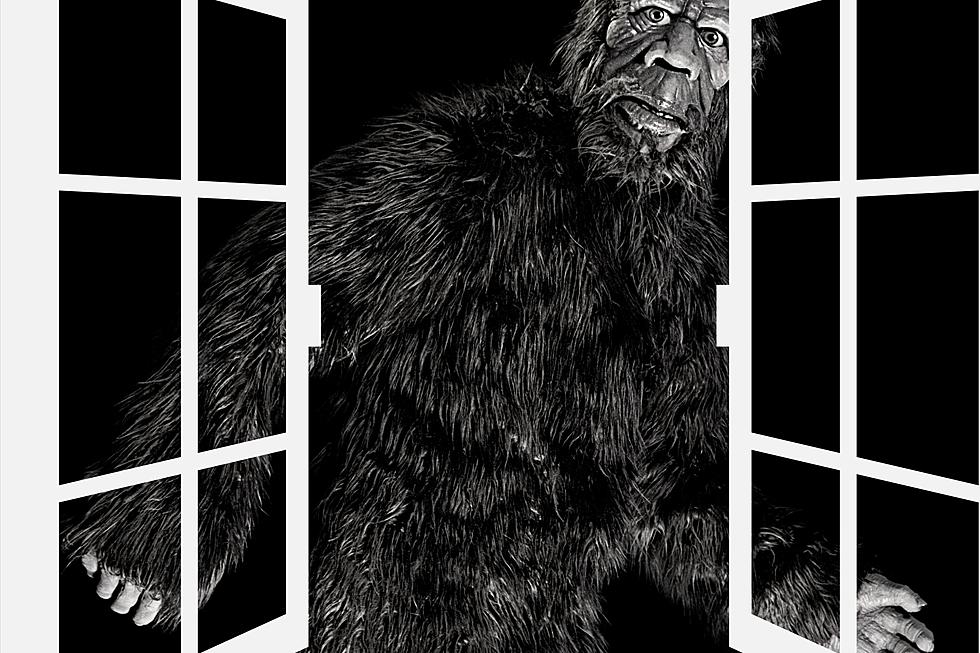 Missouri Man Claims Bigfoot Peeked in His Bedroom Window