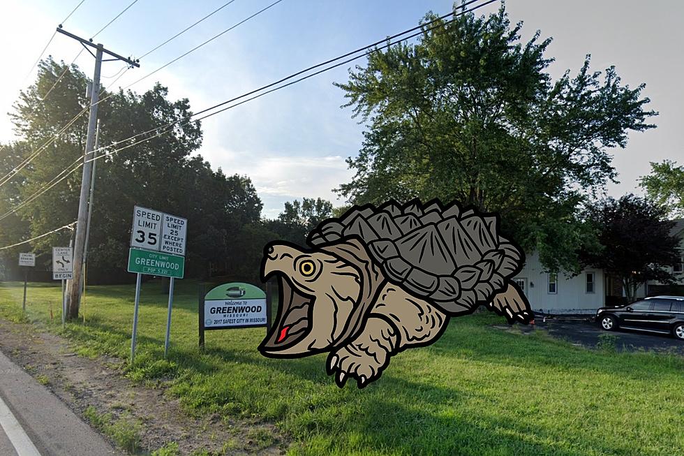 Missouri’s 2nd Safest City is Full of Vicious Snapping Turtles