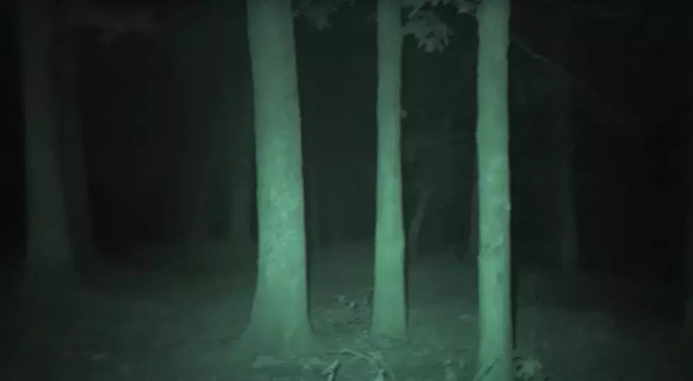 SASQUATCH THEORY via YouTube