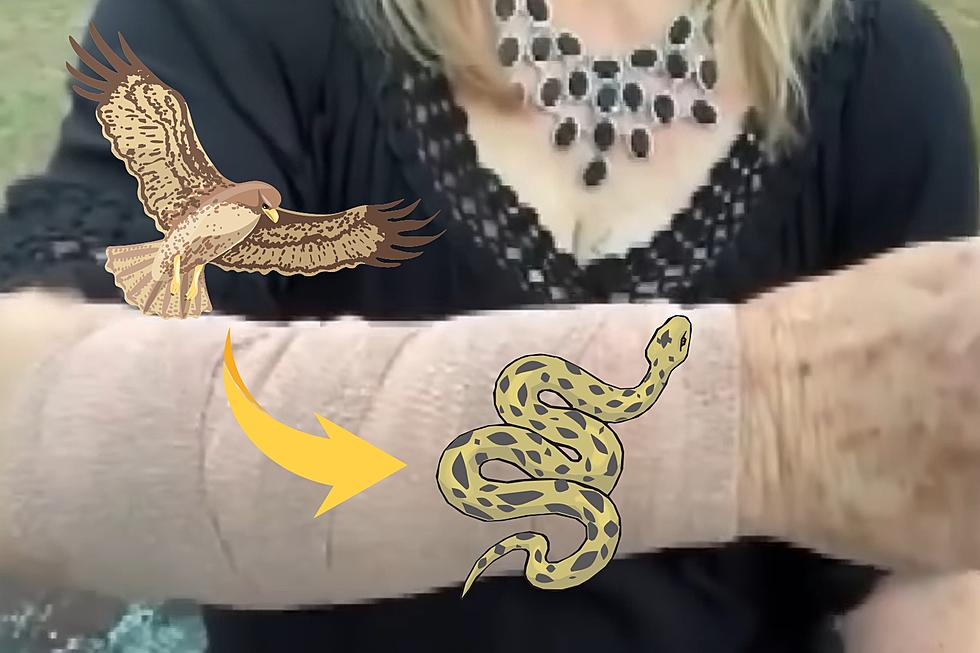 Woman Attacked by Snake from Sky, Saved By Hawk (GRAPHIC VIDEO)