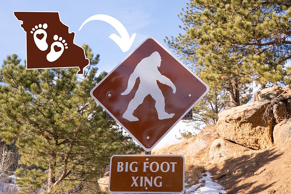 Beware, It&#8217;s (Allegedly) Bigfoot Breeding Season Now in Missouri