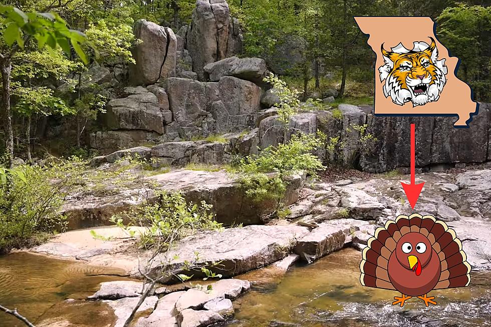 Missouri&#8217;s Best &#8216;Hidden Gem&#8217; Camping Spot Has Bobcats &#038; Turkeys?