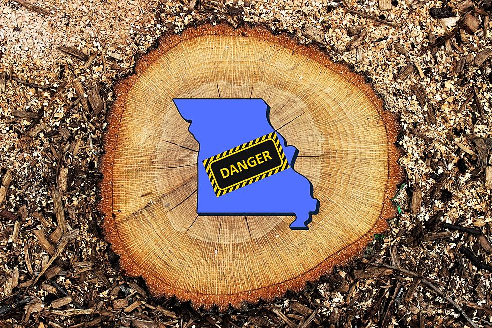 The Most Dangerous Job in Missouri Took 33 Lives in Just One Year