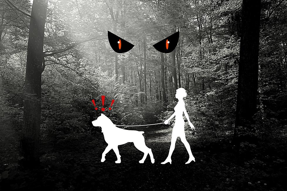 Woman Walking Dog in the Woods &#8211; Then He Heard Something