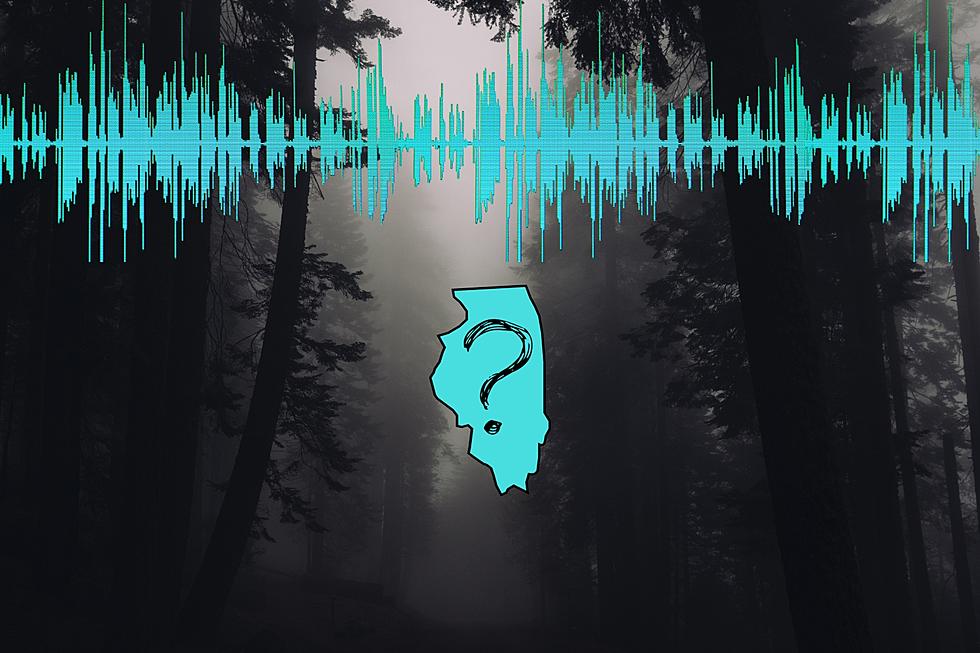 Listen to Illinois Man’s Audio of Bone-chilling ‘Bigfoot’ Scream?