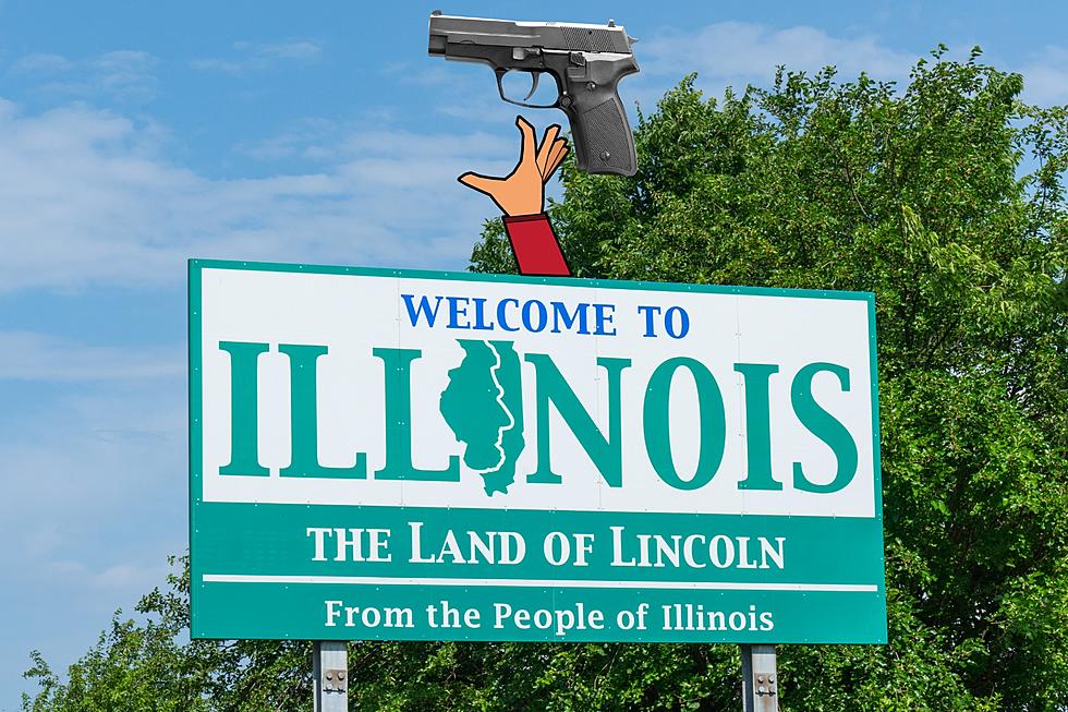Illinois Called Out for Being a &#8216;State That Can Take Your Gun&#8217;