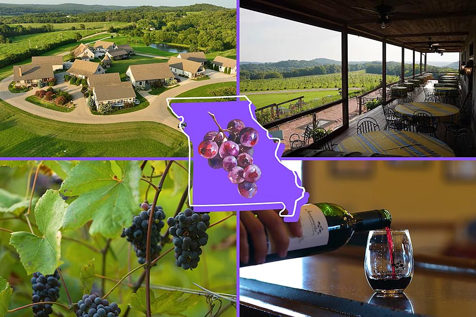 Exotic Missouri Winery & Vineyard Could Be Yours – For a Price