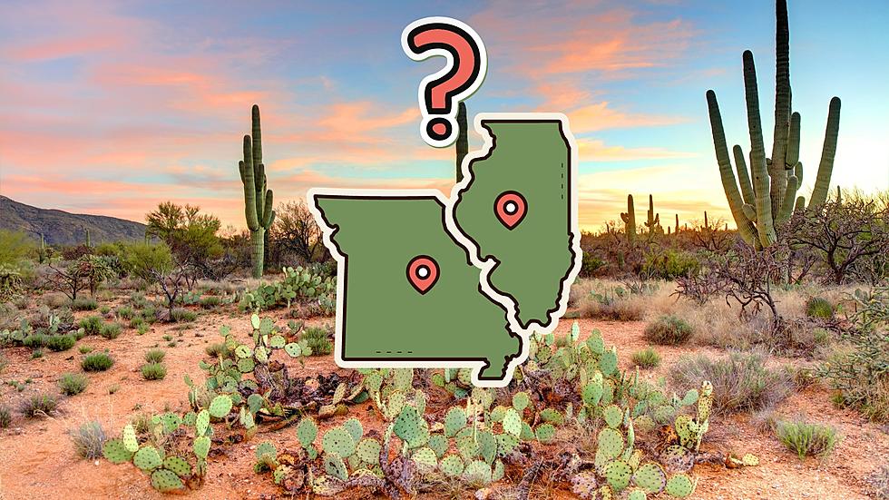 Why are So Many in Missouri &#038; Illinois Moving to Arizona?