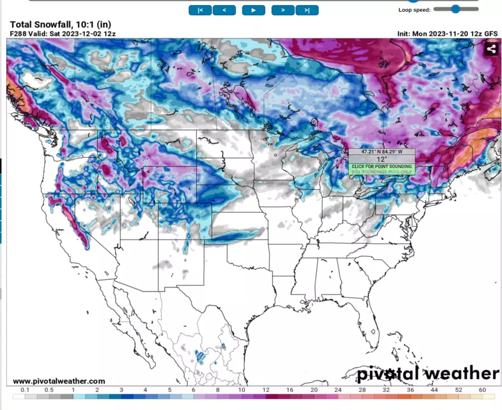 Infographic, Pivotal Weather