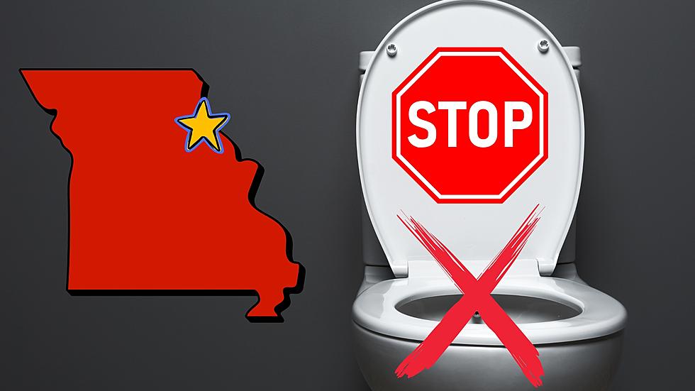 Things You Should Never Flush Down a Toilet in Hannibal, Missouri