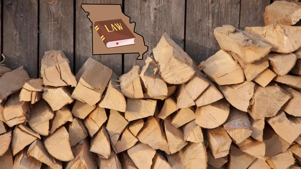 You Need to Know Missouri&#8217;s Rule About Moving Firewood or Else