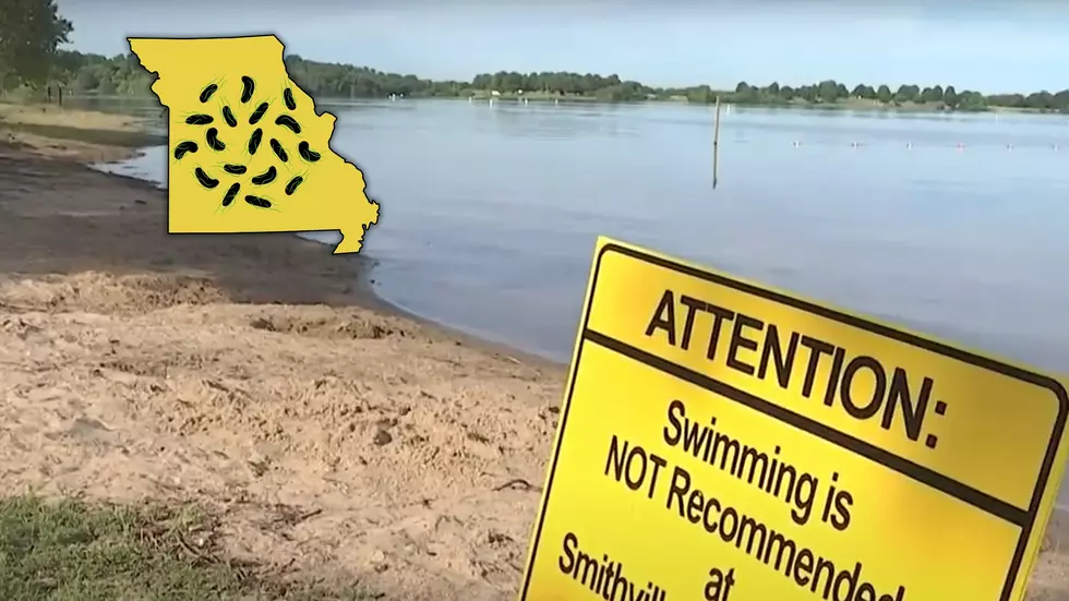 Safe to Swim? See the Latest Missouri Lake Water Bacteria Results