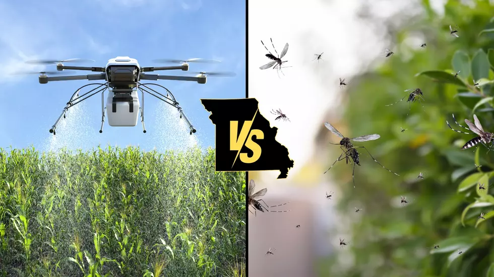 Missouri to Start Battling Mosquitos with Drones?