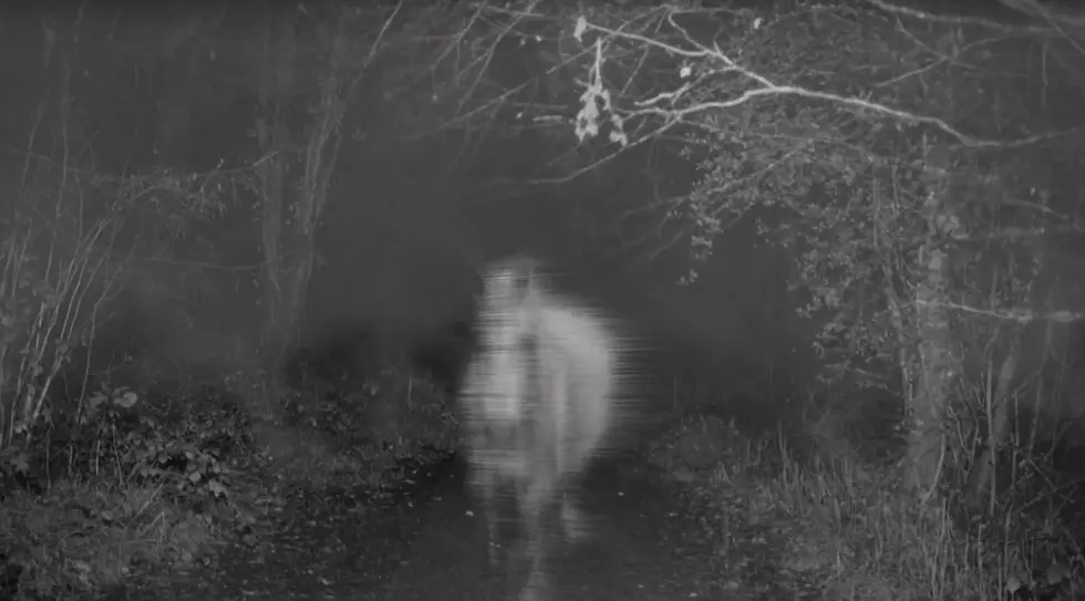 Legend of 'Phantom Hounds' That Rule This Missouri Place at Night