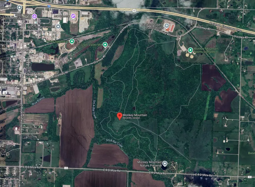 Google Maps Satellite View